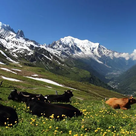 Bel Alp Appartement