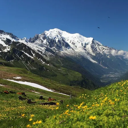 Bel Alp